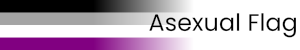 Asexual Flag