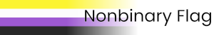 Nonbinary Flag